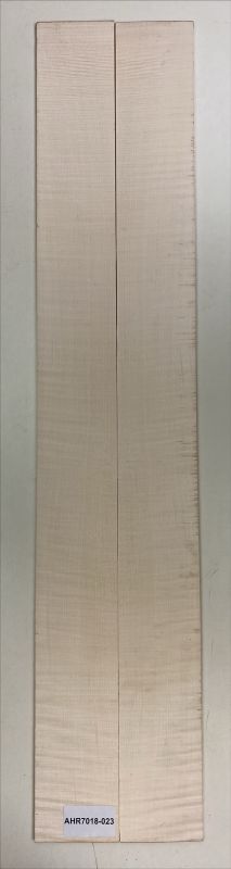 Boden & Zargen Ahorn, europ. Archtop Einzelstück #023